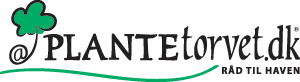 plantetorvet