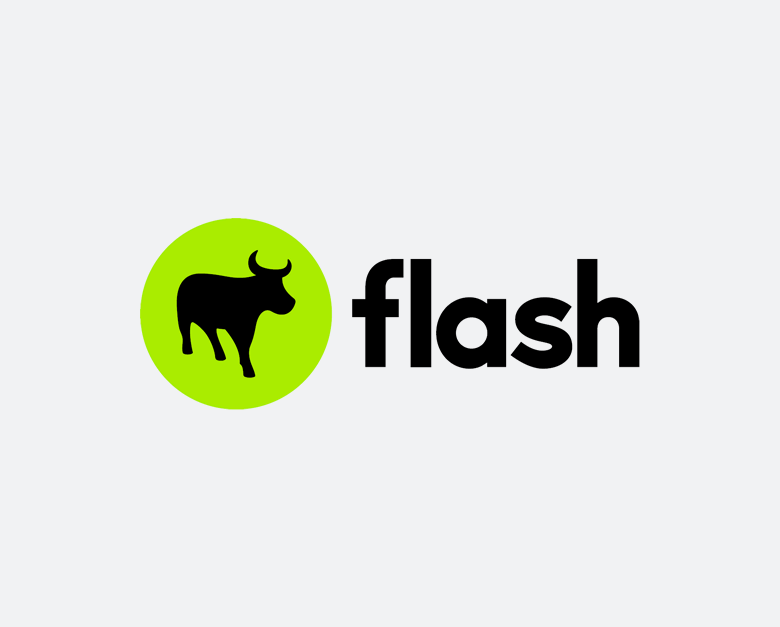 flash logo2
